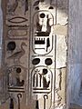 Medinet Habou Cartouche