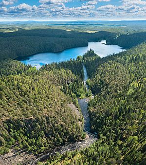 Archivo:Oulankajoki and Savilampi in Oulanka National Park, Salla, Lapland, Finland, 2021 June