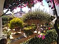 Palacio Ducal Medina Sidonia-SanlúcarDeBarrameda-IMG 20190609 180709 707