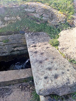 Petroglifos de la Fuente del Mato de Filiel.jpg