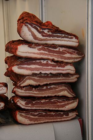 Archivo:Pila Bacon