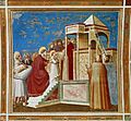 Presentation of the Virgin - Capella dei Scrovegni