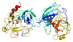 Protein GZMB PDB 1fq3.png