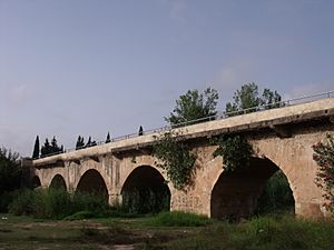 Archivo:Puentes sobre el río Turia 05
