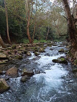 Archivo:Río Escanela - Reserva de la Biosfera Sierra Gorda de Querétaro (México)