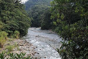 Archivo:RIO ESPIRITU SANTO