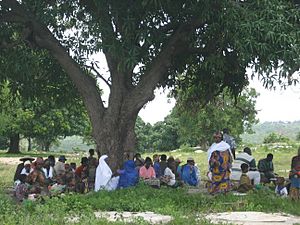 Archivo:Togo Village tree 02