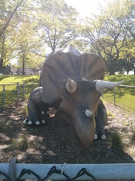 Triceratops