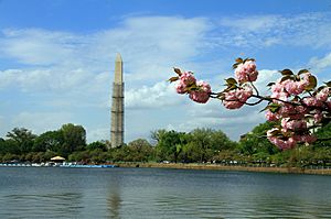 Archivo:USA-Tidal Basin