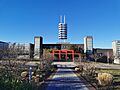 石溪大学王嘉廉中心