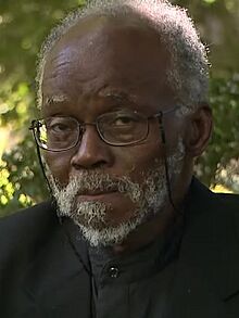 01 V. Y. Mudimbe 2013 (profile).jpeg