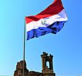 Bandera paraguaya
