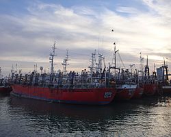 Archivo:Barcos en el puerto de Mar del Plata (2)