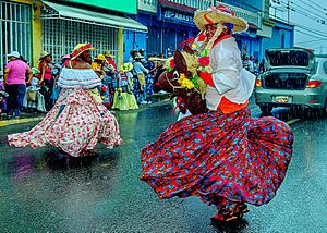 Archivo:Burriquitas bajo la lluvia4