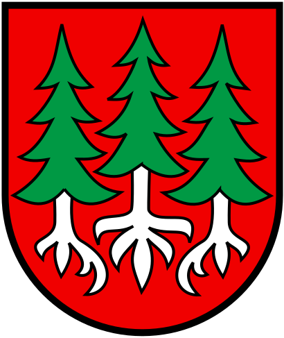 CHE Heimenhausen 2009 COA