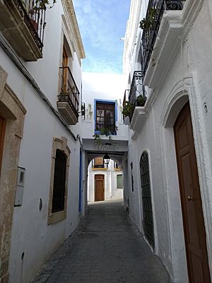 Archivo:Calle de la Villa de Níjar