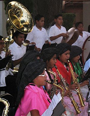 Archivo:Capulálpam música tradicional