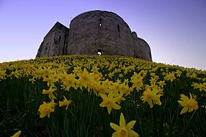 Archivo:Clifford's Tower (5558502612)