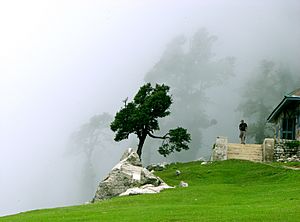 Archivo:Cloudy Triund, above Mcleod Ganj, Himachal Pradesh
