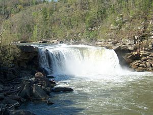 Archivo:Cumberland Falls 2009