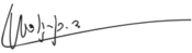David Ben-Gurion signature.svg