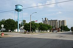 De Land Illinois Water Tower Post Office and Grain Elevator.jpg
