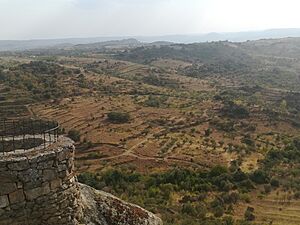 Archivo:El arribe de Fermoselle desde El Castillo