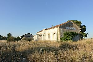 Archivo:Estación de Corrales del Vino 02