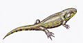 Eucritta1DB