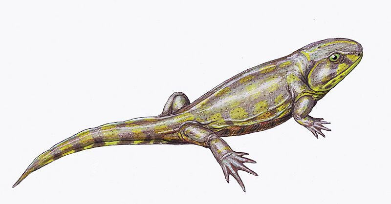 Eucritta1DB