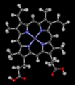 Heme