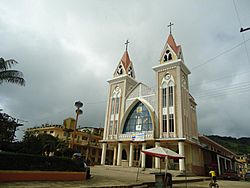 Iglesia catedral San Jacinto de Alamor.jpg