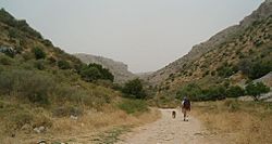 Israel National Trail east Wadi Dishon.jpg