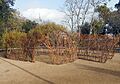 Jardins del Doctor Pla i Armengol 05