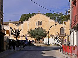 Calle mayor del pueblo.