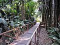 La Laguna Botanical Gardens (7185453222)