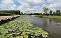 Leidschendam, de Stompwijkse Vaart compositie1 IMG 0367 2019-07-01 11.04