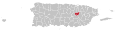 Locator-map-Puerto-Rico-Aguas-Buenas.svg