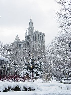 New York Central Park winter