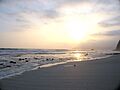 Paracasbeach