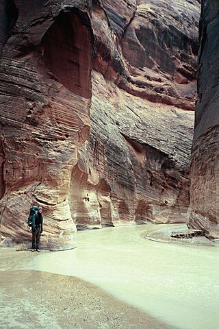 Paria river buckskin confluence.jpg