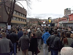 Archivo:Protests in Zenica on 10 February 2014