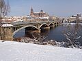 Puente Enrique Estevan Tormes