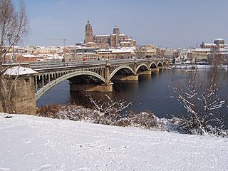 Puente Enrique Estevan Tormes.JPG