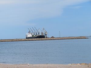 Archivo:Puerto industrial de Alcanar (Tarragona)