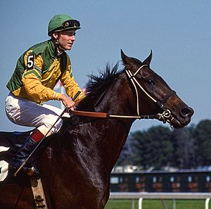 Archivo:Race Horse with Jockey (11889529946)