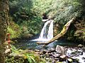 Salto Anticura