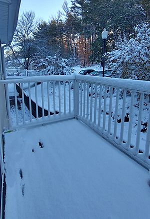 Archivo:Snow blanketing eastern Massachusetts after Zeta