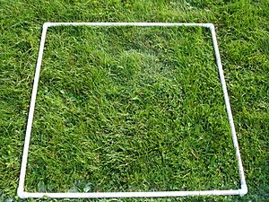 Archivo:SquareMeterQuadrat