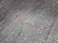 Tanun carvings snake